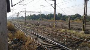 15724019_10211956950143845_793315052_n