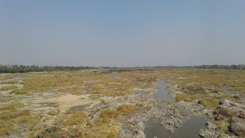 17580296_10212884901862058_198835073_n