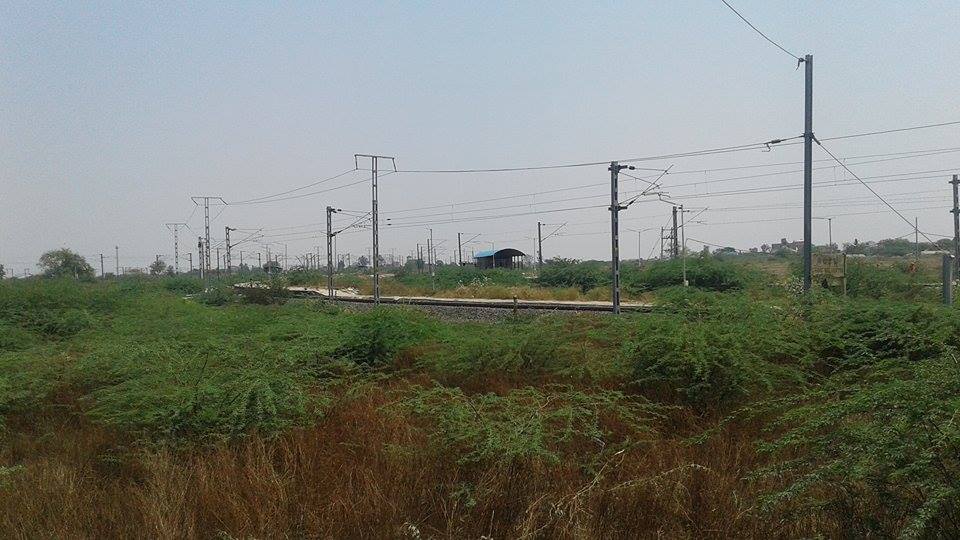 17619569_10212884899101989_1311396641_n