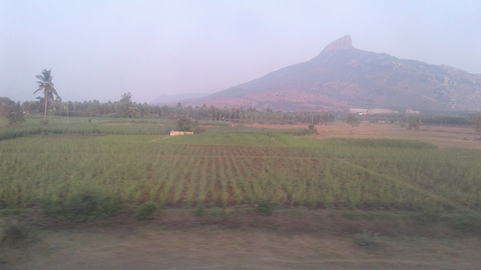 17888726_10213033826065070_1773936615_n