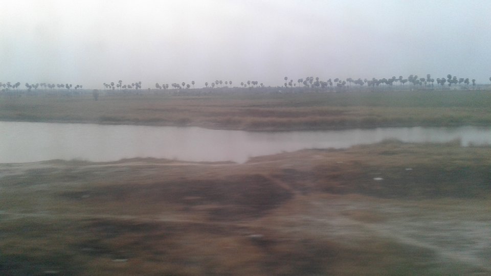 17909204_10213033827665110_675975847_n