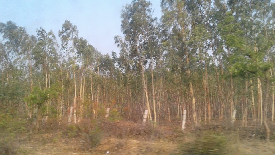 17910921_10213033826825089_1126677431_n