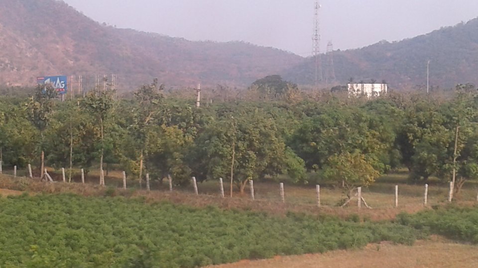 17911119_10213033829825164_1802279655_n