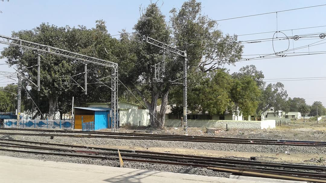 27022074_10215913653578958_4822752768881807603_o