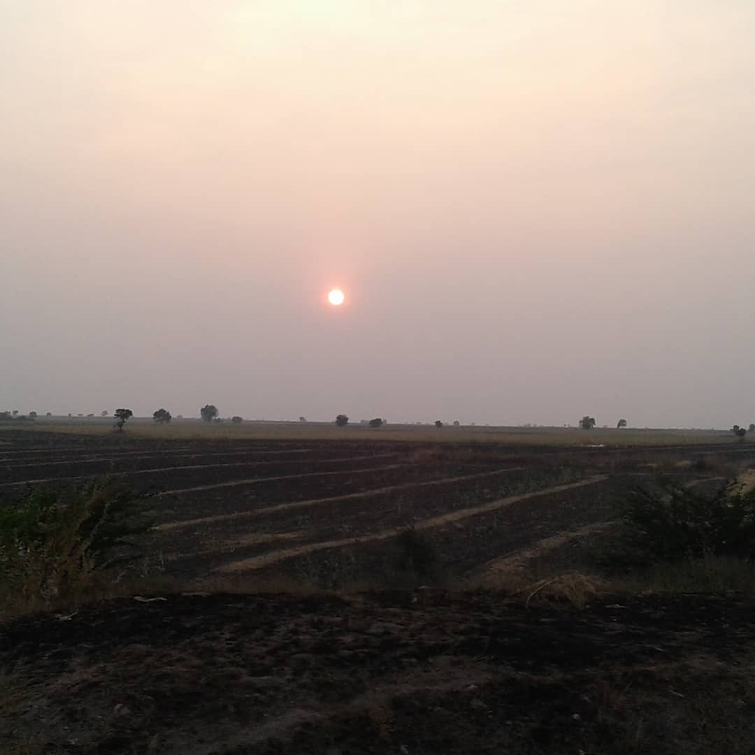 27368850_10215913769501856_7932519178402742694_o